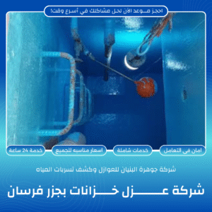 المقالات والاخبار جزر فرسان 1 300x300